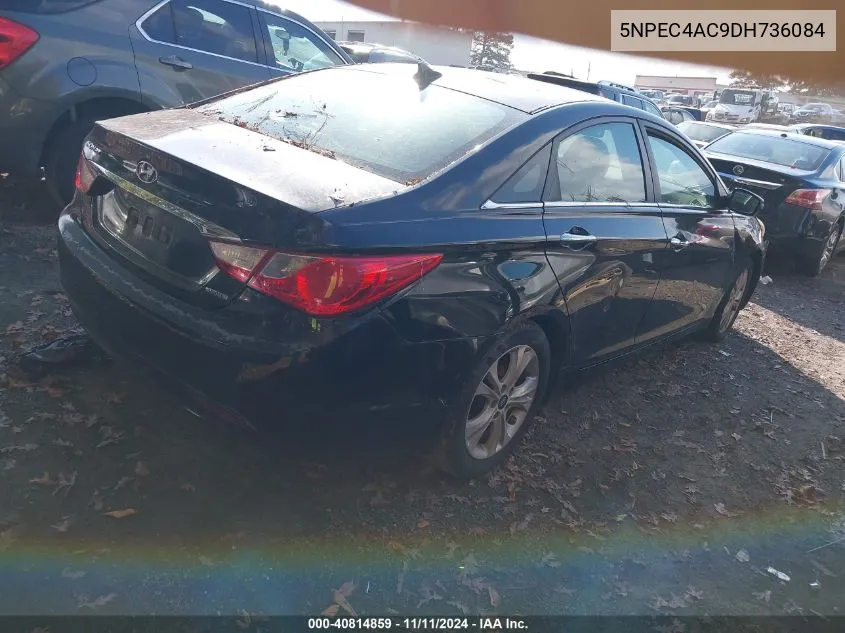 2013 Hyundai Sonata Limited VIN: 5NPEC4AC9DH736084 Lot: 40814859