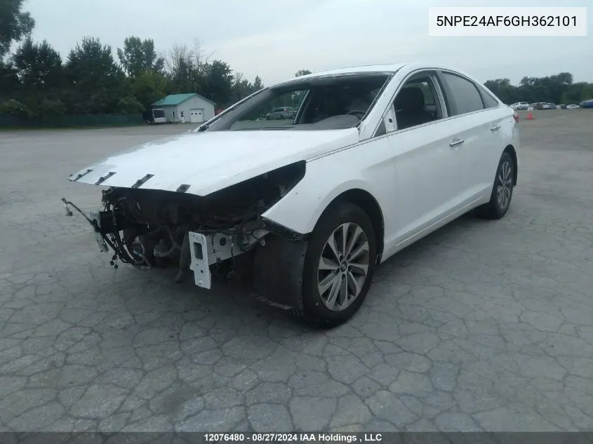 5NPE24AF6GH362101 2016 Hyundai Sonata Gls Special Edition