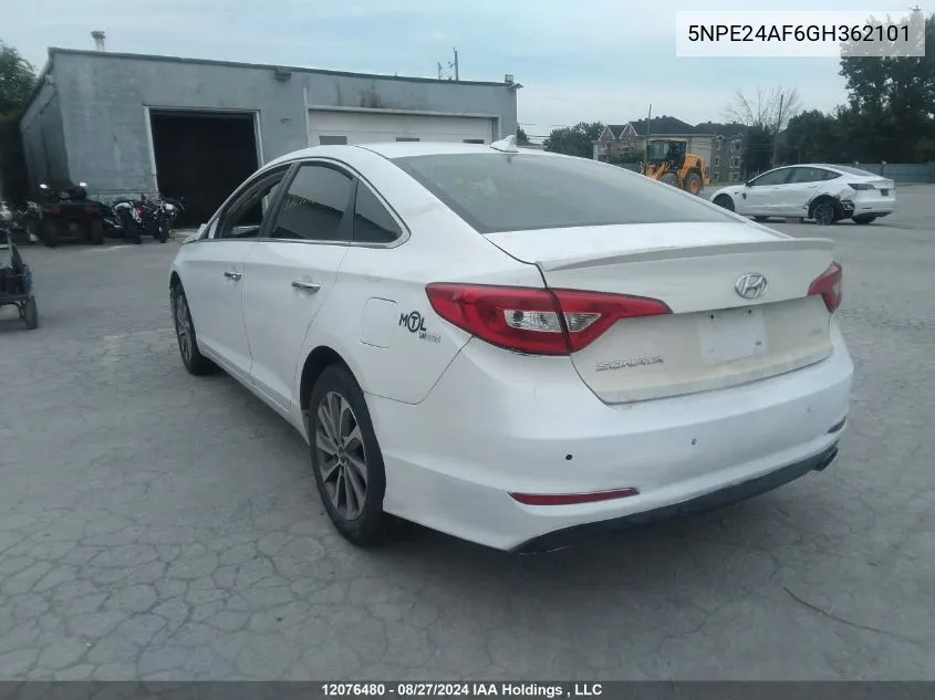 5NPE24AF6GH362101 2016 Hyundai Sonata Gls Special Edition