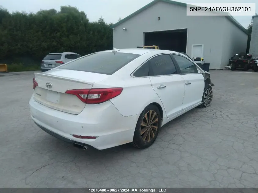 5NPE24AF6GH362101 2016 Hyundai Sonata Gls Special Edition