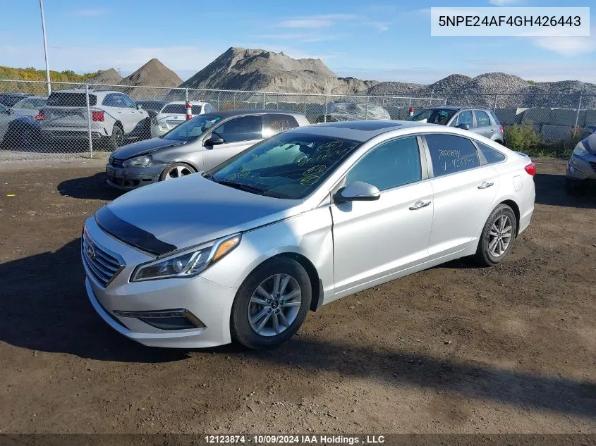 2016 Hyundai Sonata Se VIN: 5NPE24AF4GH426443 Lot: 12123874