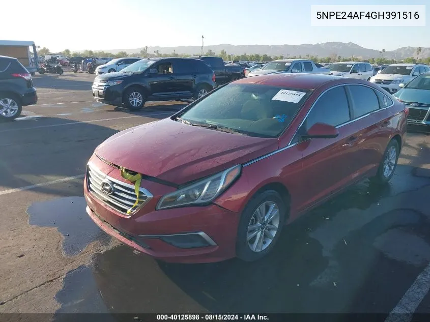 2016 Hyundai Sonata Se VIN: 5NPE24AF4GH391516 Lot: 40125898