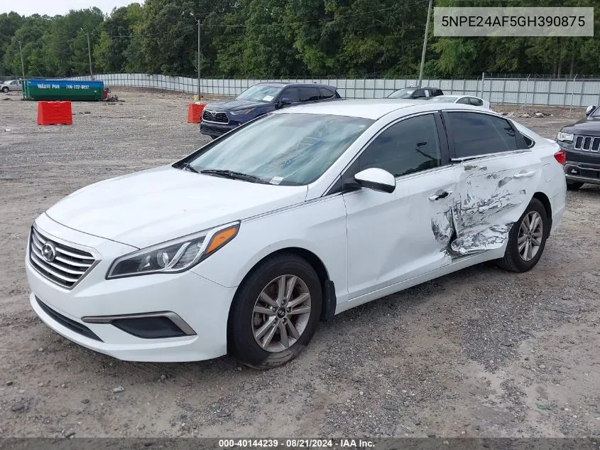 2016 Hyundai Sonata Se VIN: 5NPE24AF5GH390875 Lot: 40144239