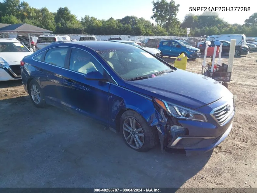 2016 Hyundai Sonata Se VIN: 5NPE24AF2GH377288 Lot: 40255787