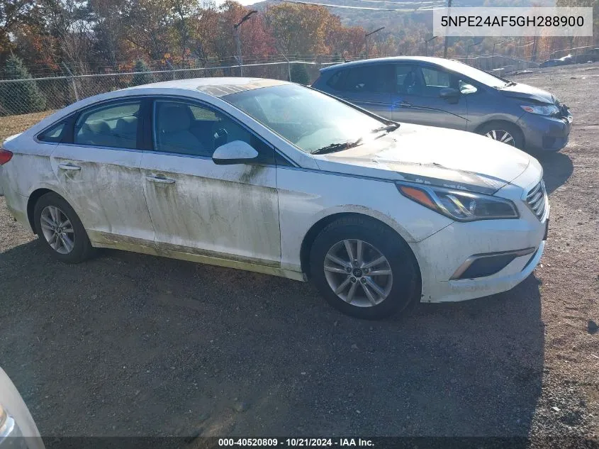 5NPE24AF5GH288900 2016 Hyundai Sonata Se