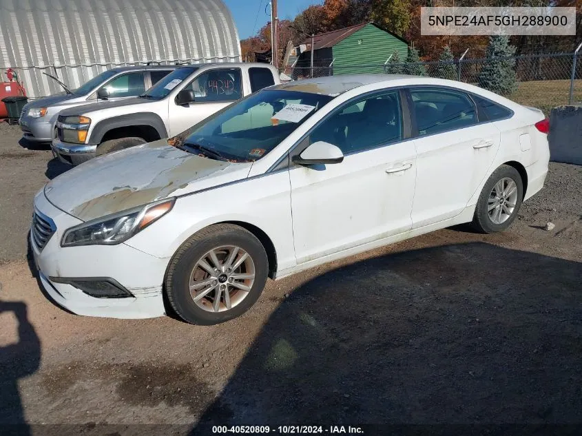 2016 Hyundai Sonata Se VIN: 5NPE24AF5GH288900 Lot: 40520809