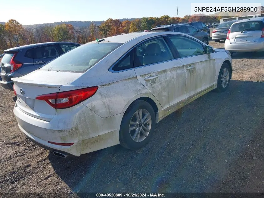 5NPE24AF5GH288900 2016 Hyundai Sonata Se