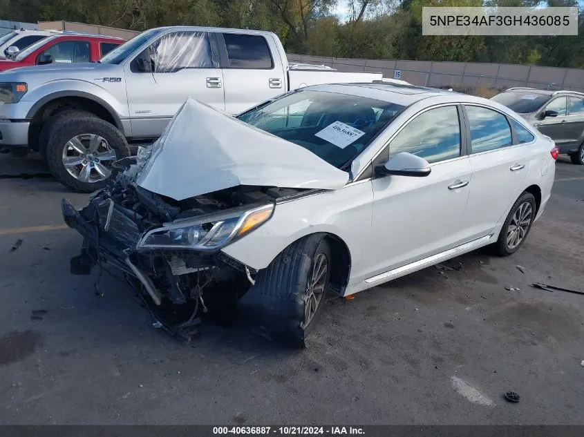 2016 Hyundai Sonata Sport/Limited VIN: 5NPE34AF3GH436085 Lot: 40636887