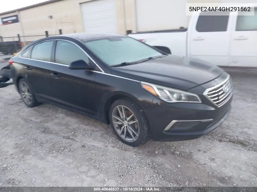 5NPE24AF4GH291562 2016 Hyundai Sonata Se