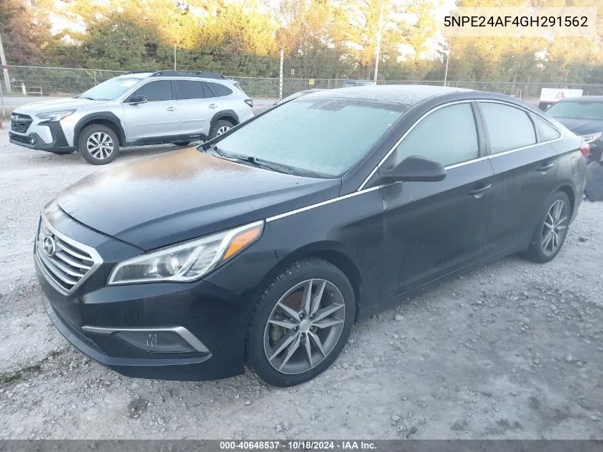 5NPE24AF4GH291562 2016 Hyundai Sonata Se