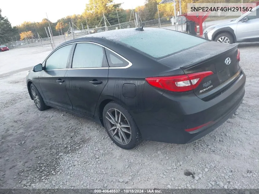 2016 Hyundai Sonata Se VIN: 5NPE24AF4GH291562 Lot: 40648537