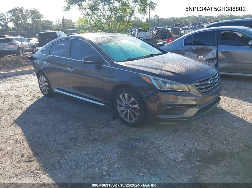 2016 Hyundai Sonata Sport VIN: 5NPE34AF5GH388802 Lot: 40691682