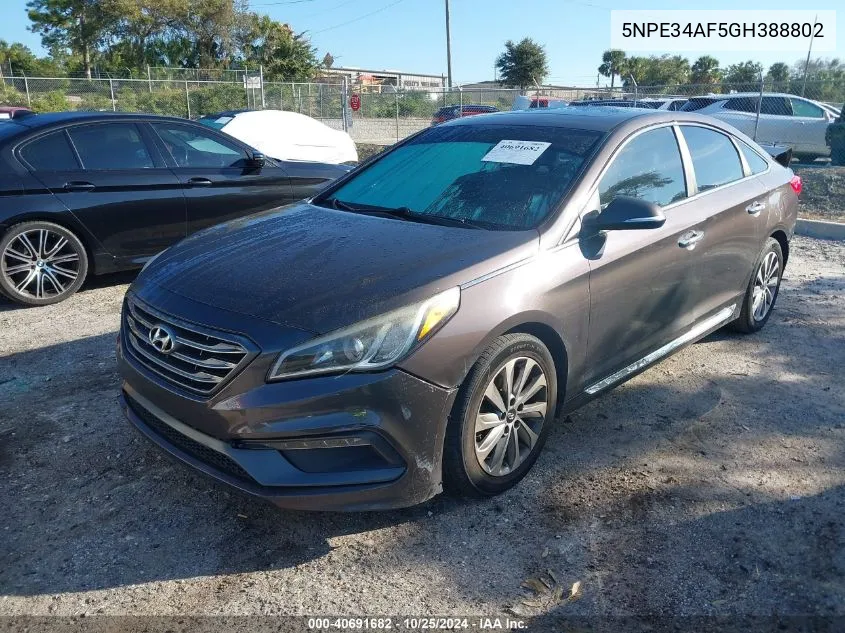 2016 Hyundai Sonata Sport VIN: 5NPE34AF5GH388802 Lot: 40691682