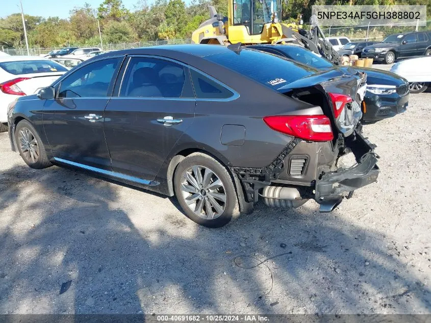 2016 Hyundai Sonata Sport VIN: 5NPE34AF5GH388802 Lot: 40691682