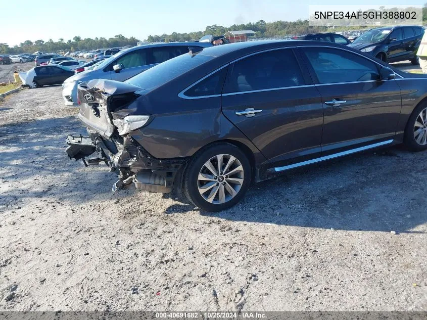 2016 Hyundai Sonata Sport VIN: 5NPE34AF5GH388802 Lot: 40691682