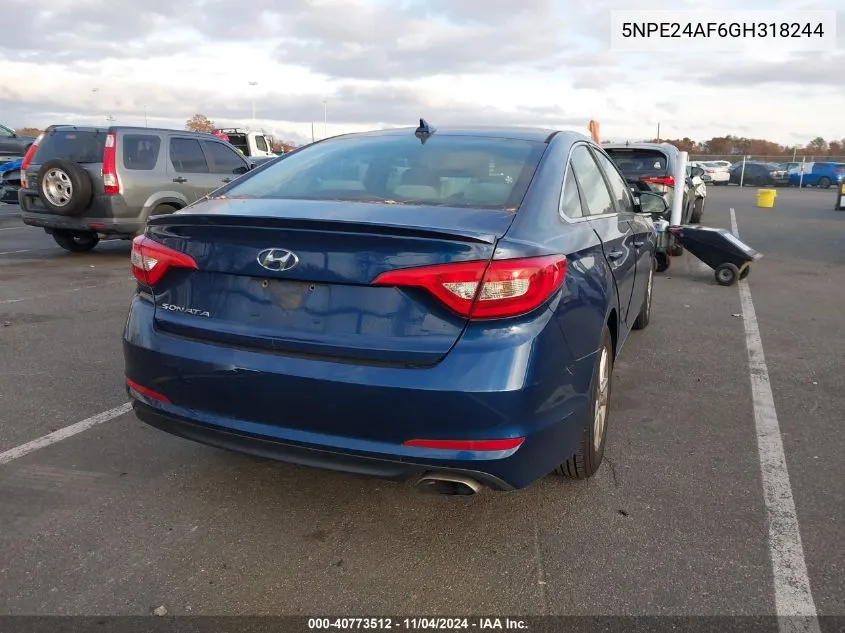 2016 Hyundai Sonata Se VIN: 5NPE24AF6GH318244 Lot: 40773512