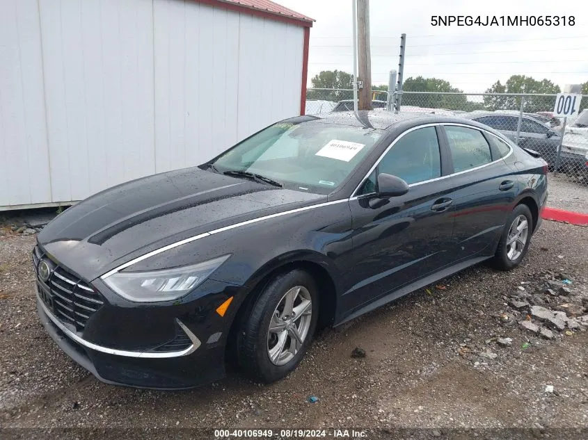 2021 Hyundai Sonata Se VIN: 5NPEG4JA1MH065318 Lot: 40106949