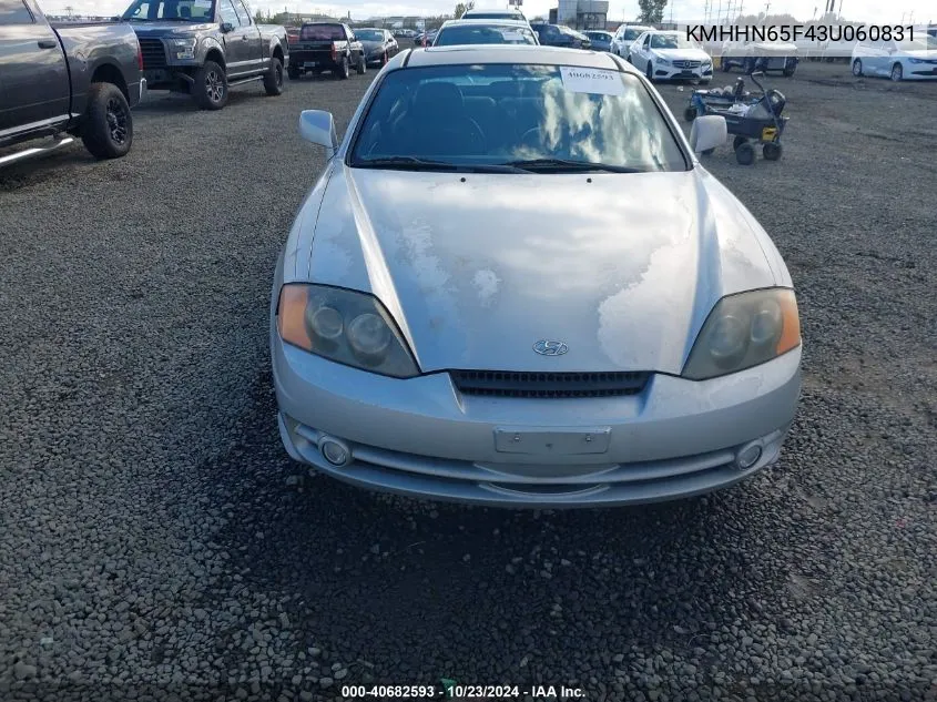 2003 Hyundai Tiburon Gt V6 VIN: KMHHN65F43U060831 Lot: 40682593