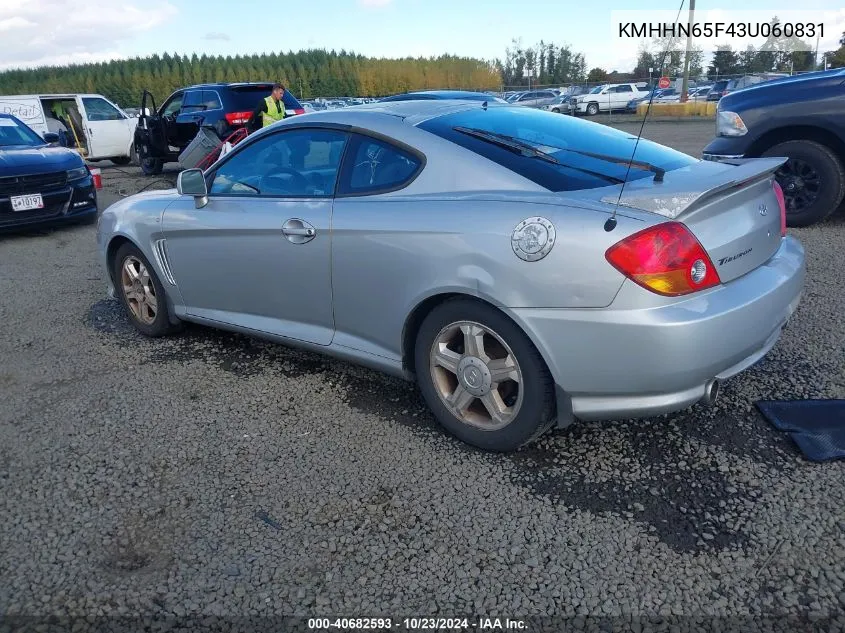 2003 Hyundai Tiburon Gt V6 VIN: KMHHN65F43U060831 Lot: 40682593