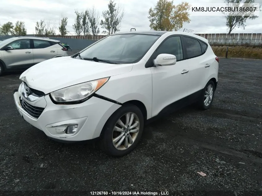 2011 Hyundai Tucson VIN: KM8JUCAC5BU186807 Lot: 12126760