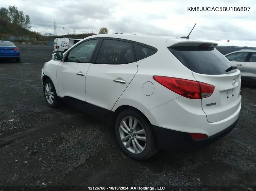 2011 Hyundai Tucson VIN: KM8JUCAC5BU186807 Lot: 12126760