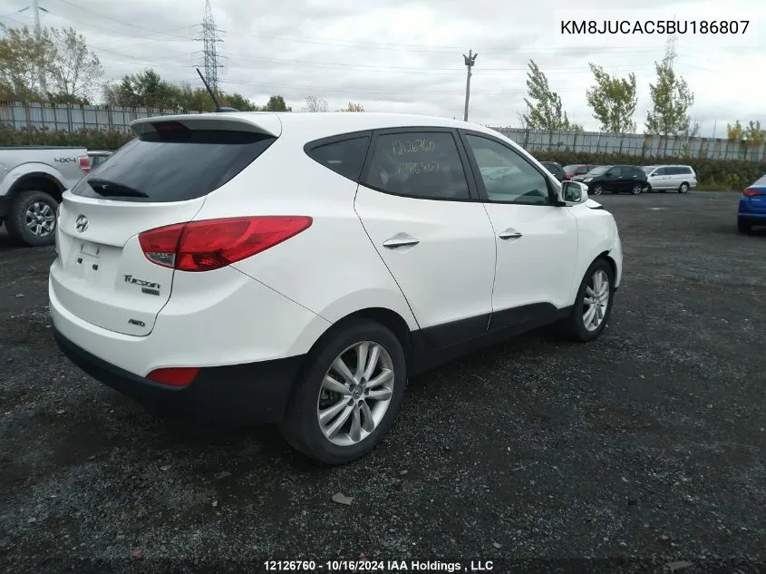 2011 Hyundai Tucson VIN: KM8JUCAC5BU186807 Lot: 12126760