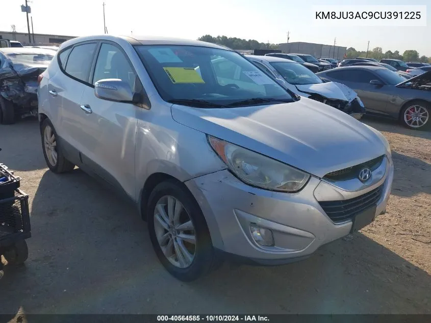 2012 Hyundai Tucson Limited VIN: KM8JU3AC9CU391225 Lot: 40564585