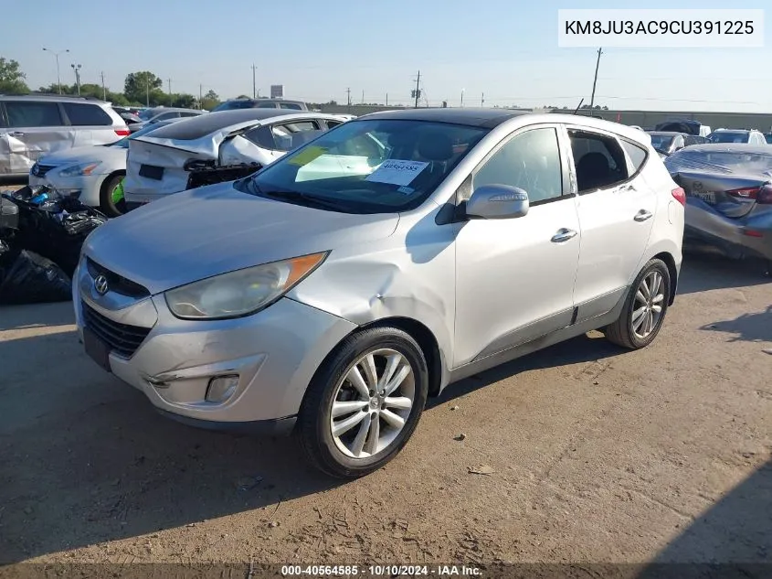 2012 Hyundai Tucson Limited VIN: KM8JU3AC9CU391225 Lot: 40564585