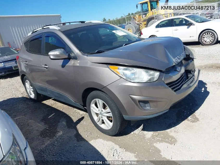 2012 Hyundai Tucson Gls VIN: KM8JU3AC0CU487213 Lot: 40571884