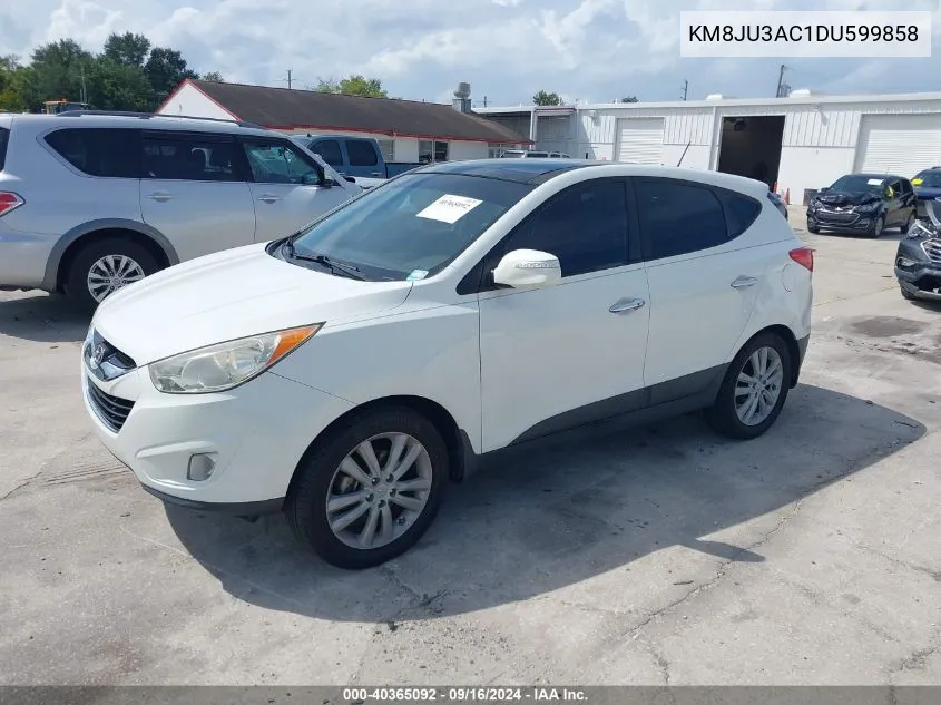 2013 Hyundai Tucson Limited VIN: KM8JU3AC1DU599858 Lot: 40365092