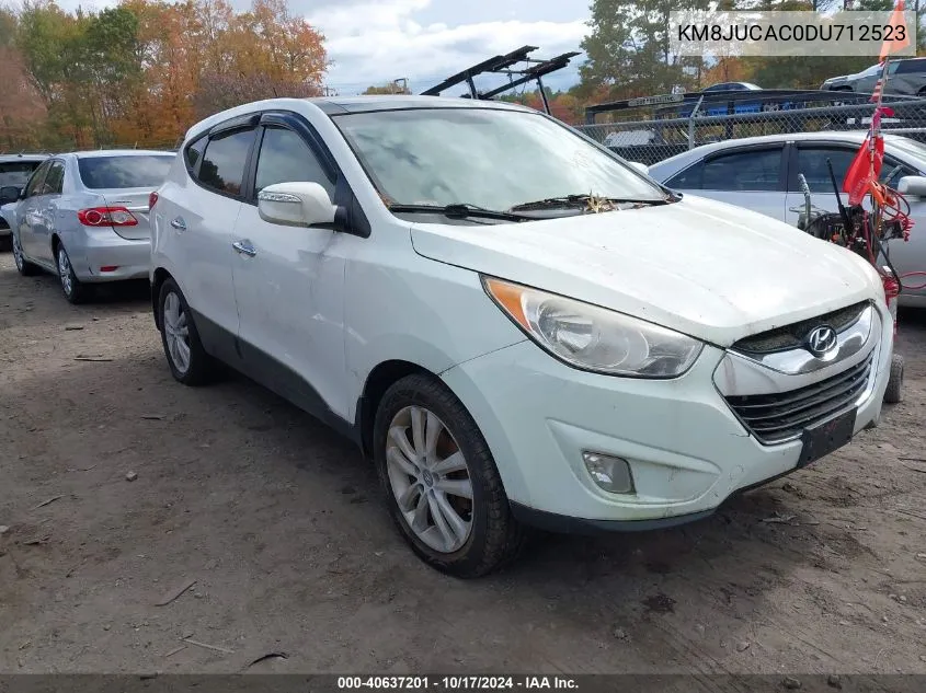 2013 Hyundai Tucson Limited VIN: KM8JUCAC0DU712523 Lot: 40637201