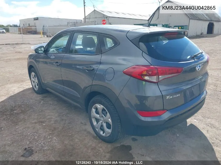 2016 Hyundai Tucson VIN: KM8J23A44GU042865 Lot: 12128243