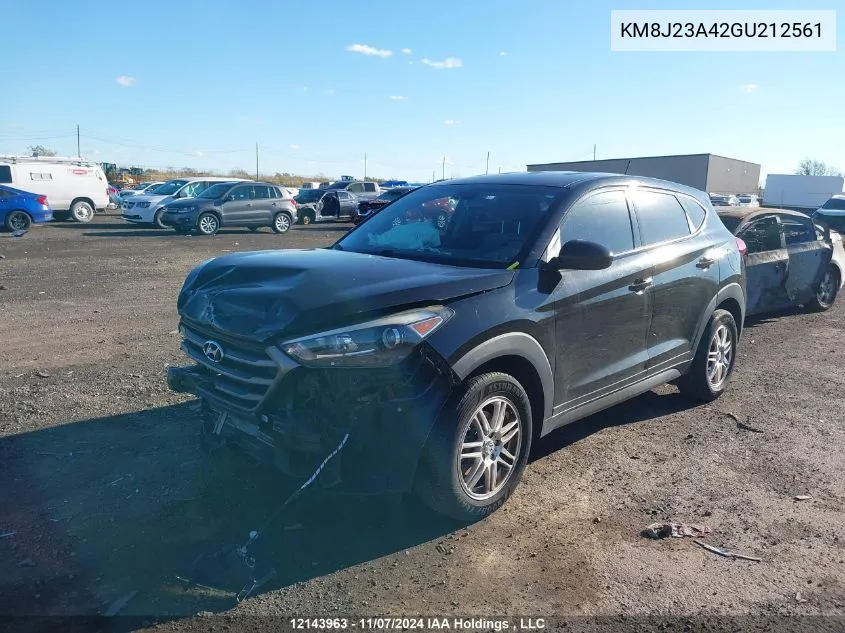 2016 Hyundai Tucson VIN: KM8J23A42GU212561 Lot: 12143963