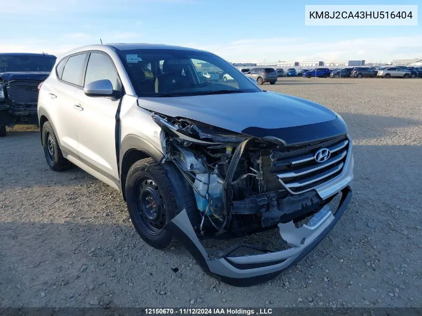 2017 Hyundai Tucson VIN: KM8J2CA43HU516404 Lot: 12150670