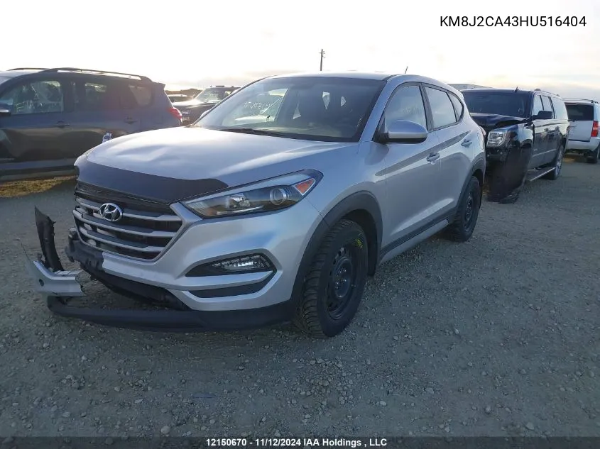 2017 Hyundai Tucson VIN: KM8J2CA43HU516404 Lot: 12150670