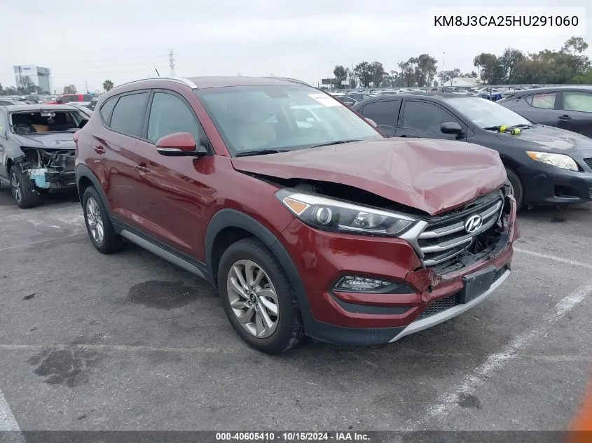 2017 Hyundai Tucson Eco VIN: KM8J3CA25HU291060 Lot: 40605410