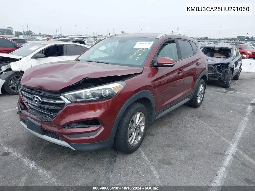 2017 Hyundai Tucson Eco VIN: KM8J3CA25HU291060 Lot: 40605410