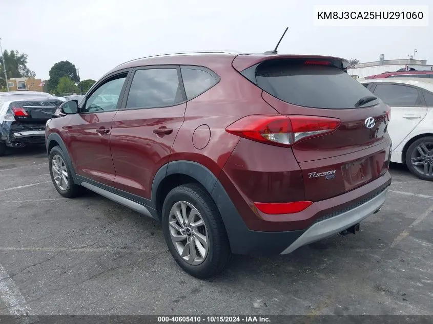 2017 Hyundai Tucson Eco VIN: KM8J3CA25HU291060 Lot: 40605410