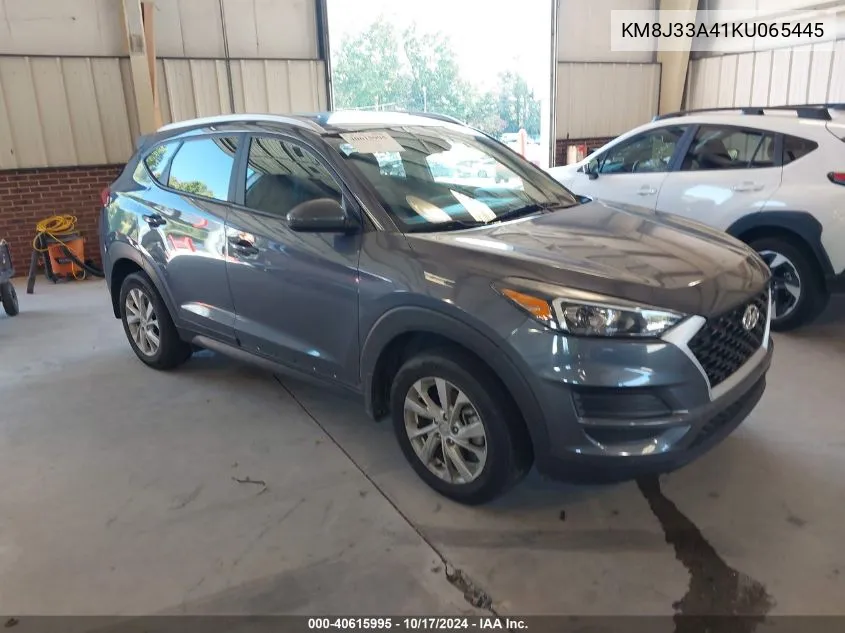 2019 Hyundai Tucson Value VIN: KM8J33A41KU065445 Lot: 40615995