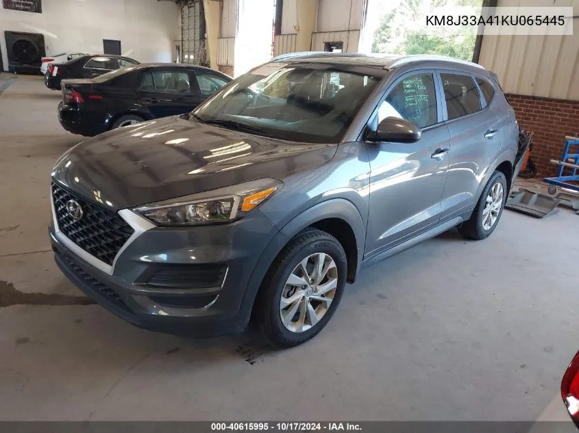 2019 Hyundai Tucson Value VIN: KM8J33A41KU065445 Lot: 40615995