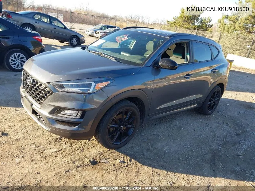 2019 Hyundai Tucson VIN: KM8J3CALXKU918500 Lot: 40820240