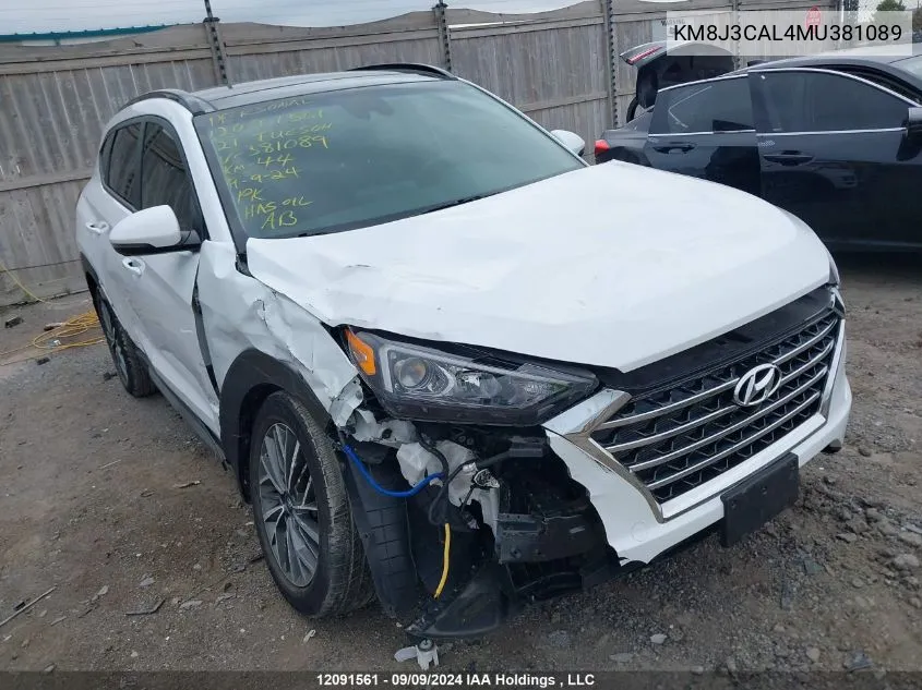 2021 Hyundai Tucson Limited/Sel/Sport/Ultimate/Value VIN: KM8J3CAL4MU381089 Lot: 12091561