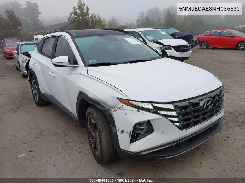 2022 Hyundai Tucson Limited VIN: 5NMJECAE8NH036530 Lot: 40461605