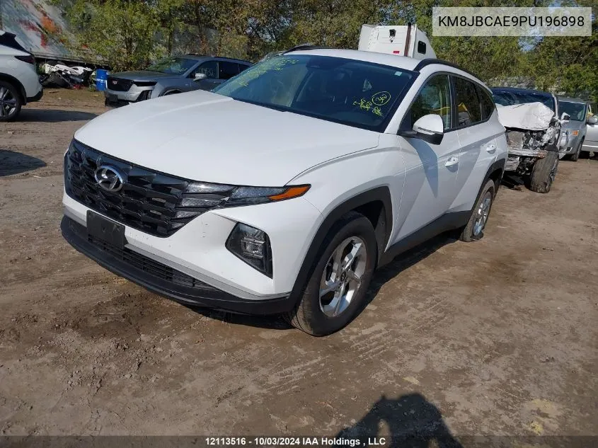 2023 Hyundai Tucson VIN: KM8JBCAE9PU196898 Lot: 12113516