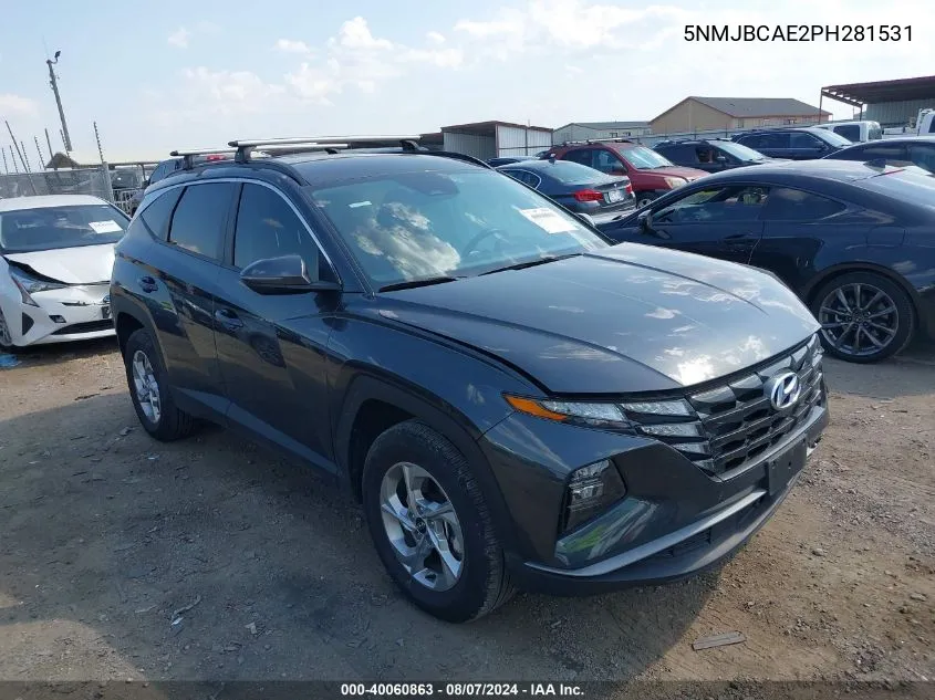 2023 Hyundai Tucson Sel VIN: 5NMJBCAE2PH281531 Lot: 40060863