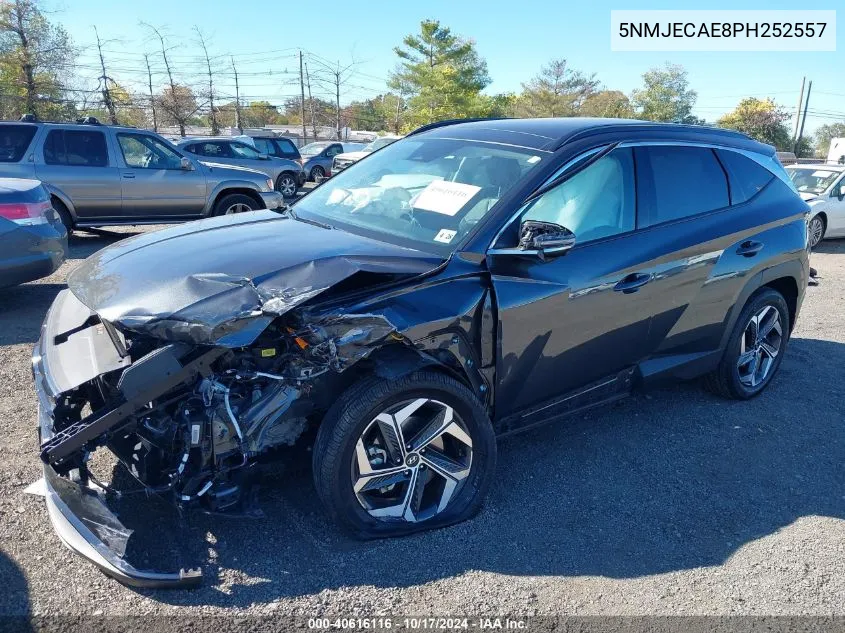 2023 Hyundai Tucson Limited VIN: 5NMJECAE8PH252557 Lot: 40616116