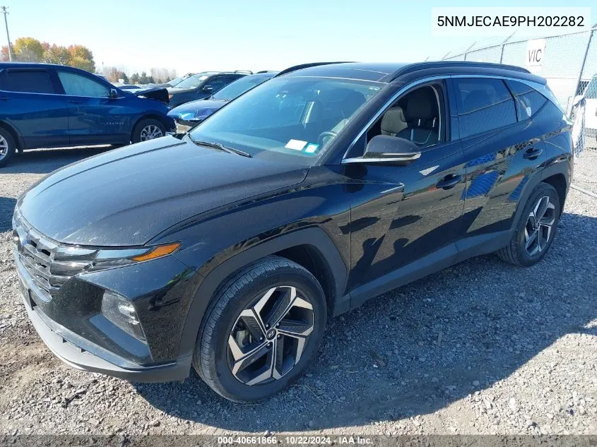 2023 Hyundai Tucson Limited VIN: 5NMJECAE9PH202282 Lot: 40661866