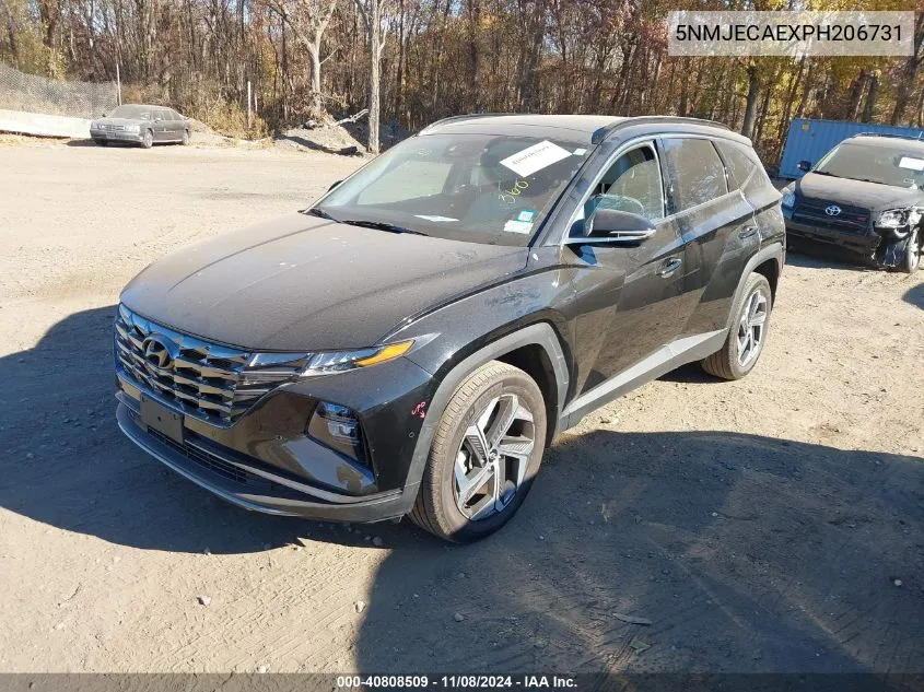 2023 Hyundai Tucson Limited VIN: 5NMJECAEXPH206731 Lot: 40808509