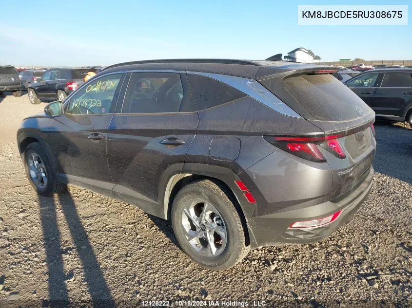 2024 Hyundai Tucson Sel VIN: KM8JBCDE5RU308675 Lot: 12128222