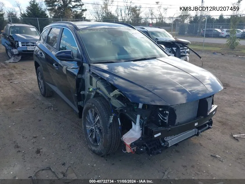 2024 Hyundai Tucson Hybrid Blue VIN: KM8JBCD12RU207459 Lot: 40722734